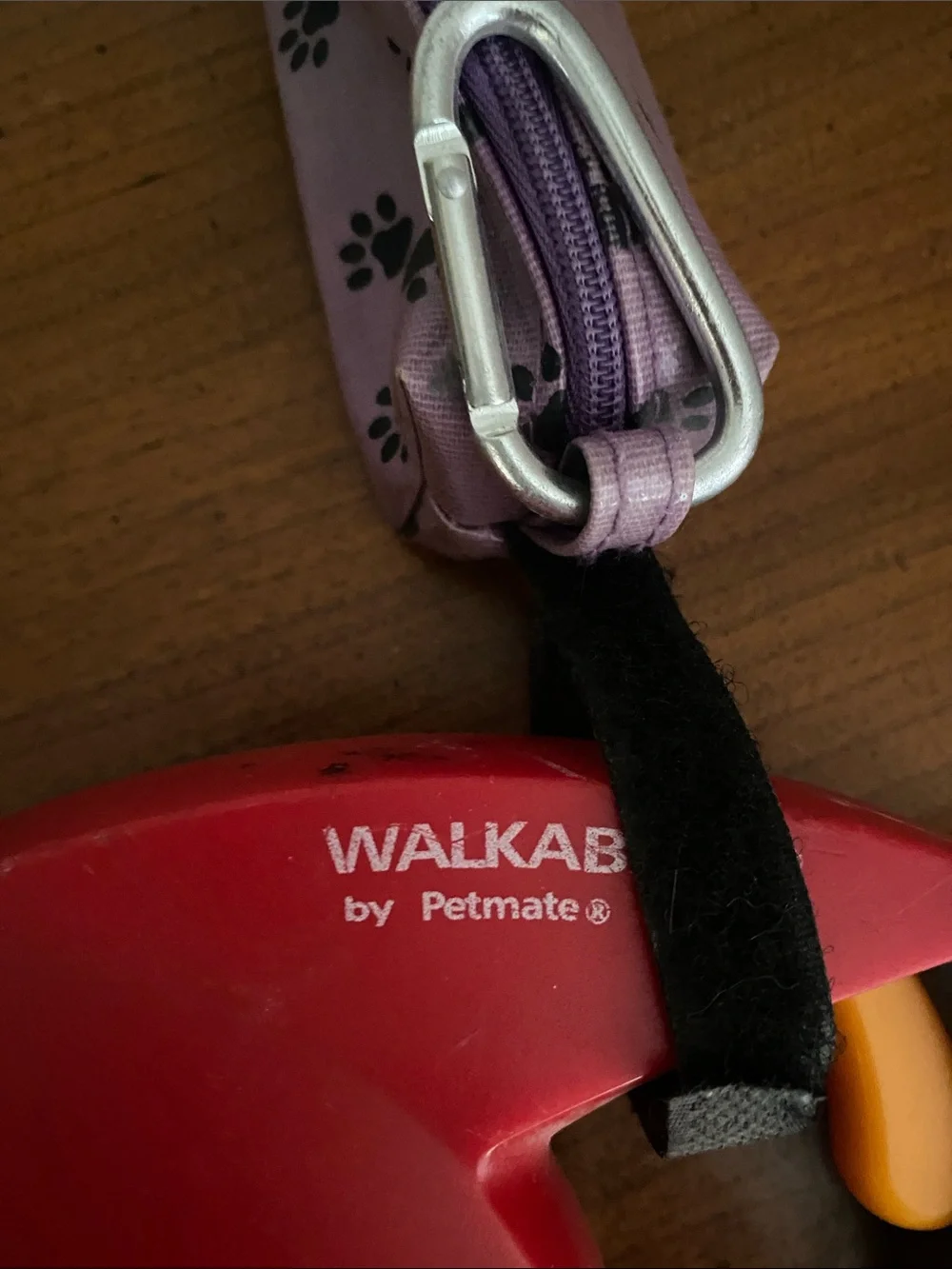Petmate Walkabout usable Retractable Leash in Red with Purple Strap